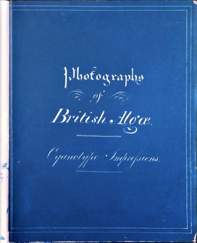 Photographs of British Algae Cover